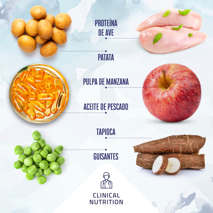 Boske Clinical Diet Gastrointestinal - Kompymascotas