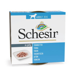 Schesir adult atún en gelatina lata para perros-PiensoyMascotas