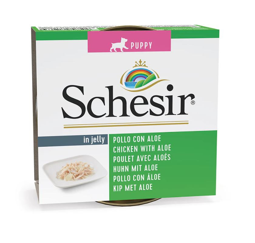 Schesir perro