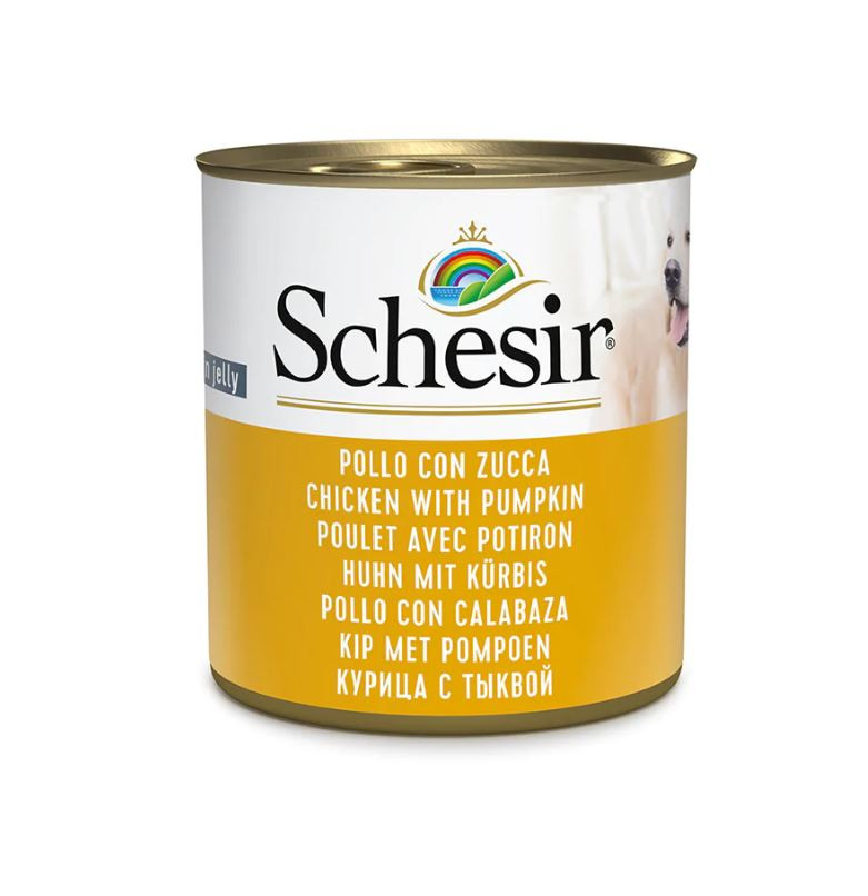 Schesir