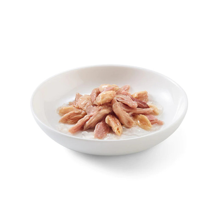 Schesir Atún y Salmón en Gelatina para Gatos