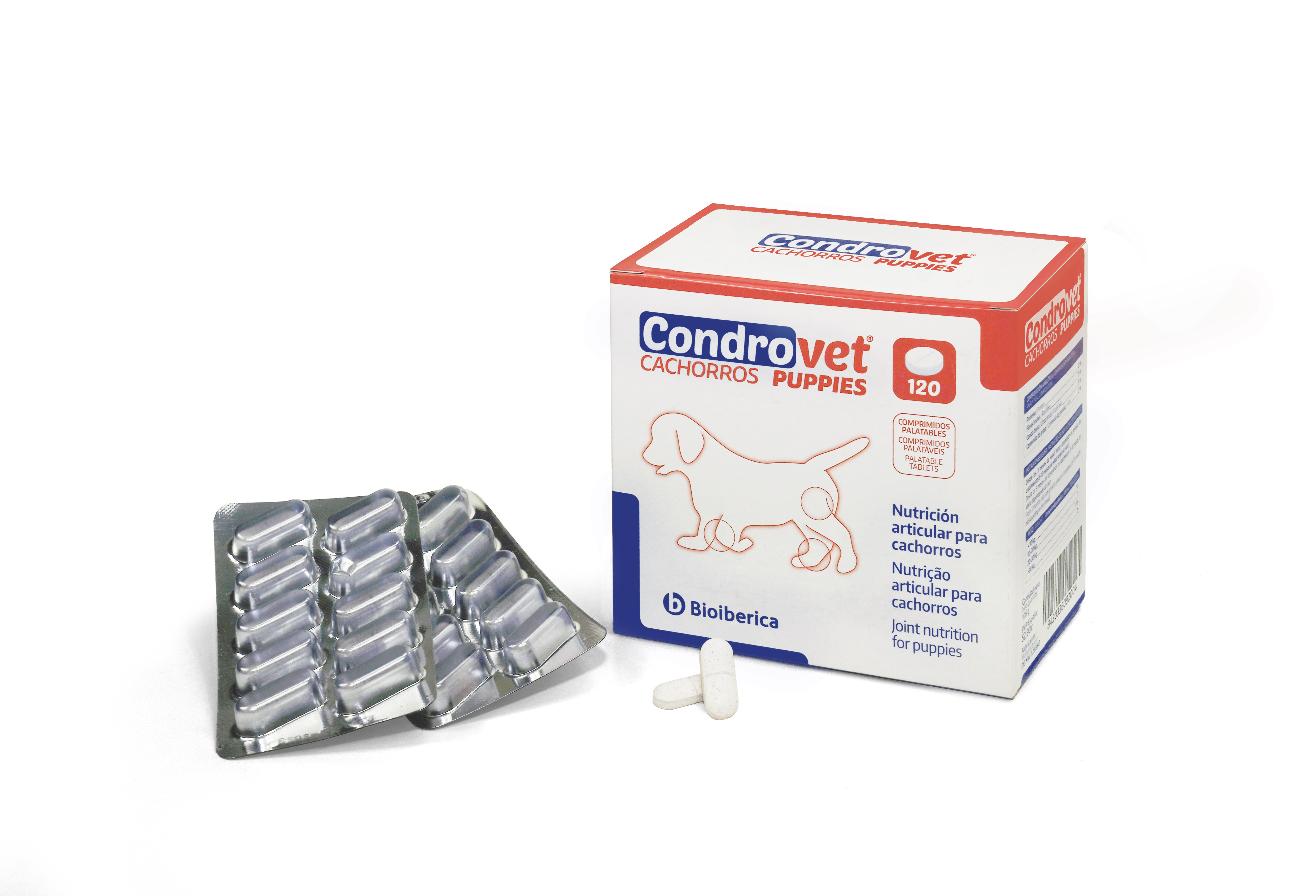 Condrovet