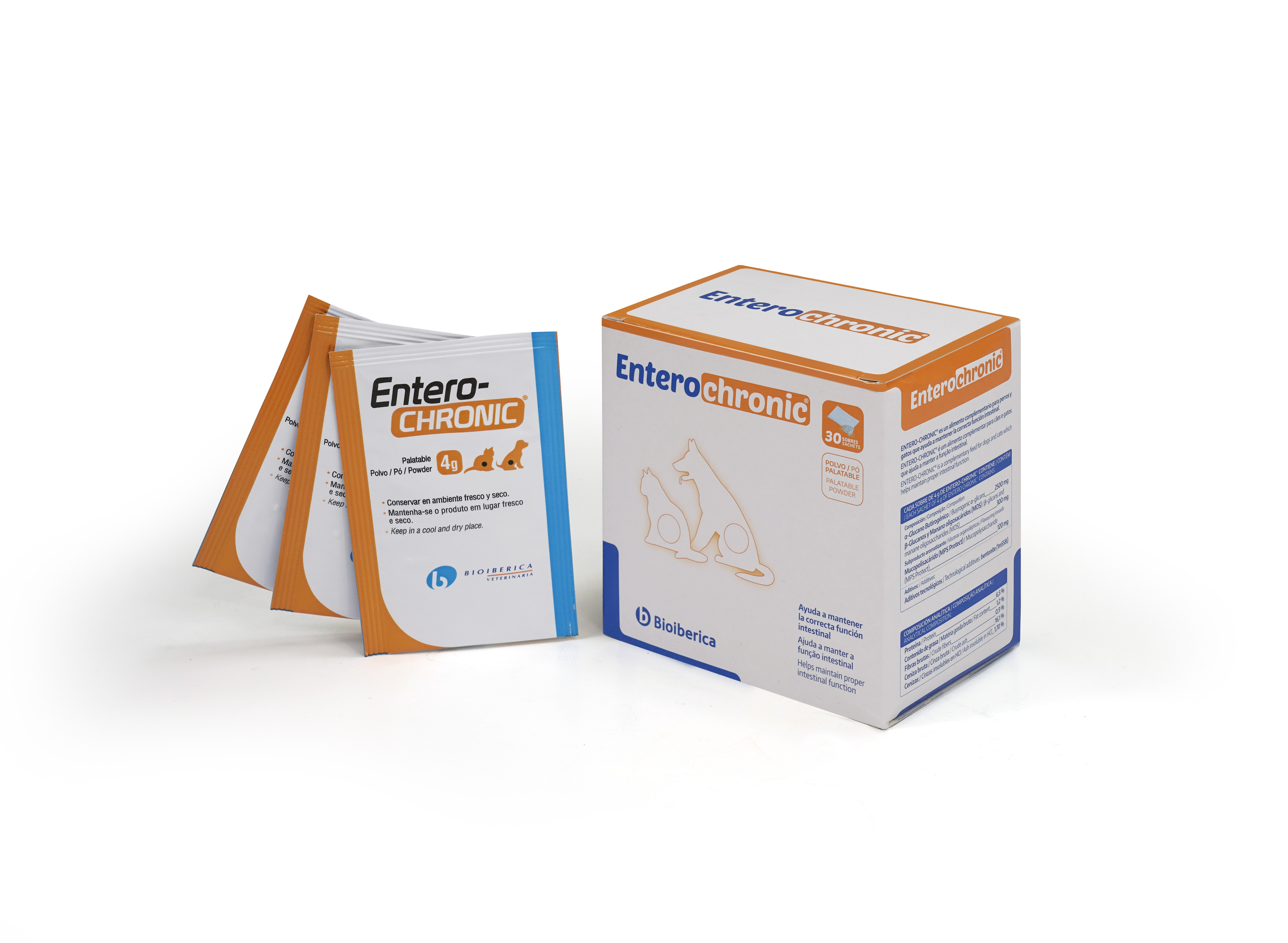 Suplementos nutricionales gatos