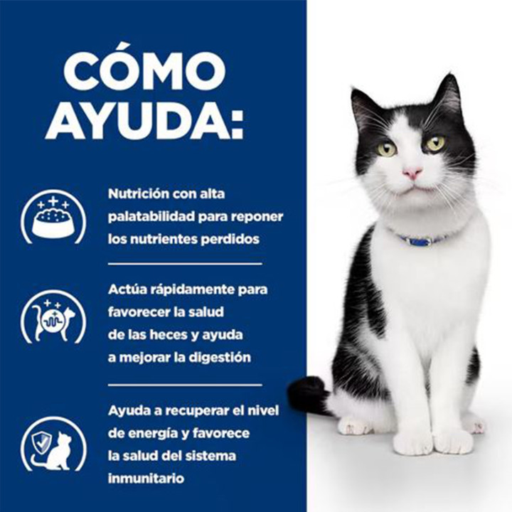 Hill's Prescription Diet i/d Cuidado Digestivo estofado para gatos con pollo y verduras añadidas