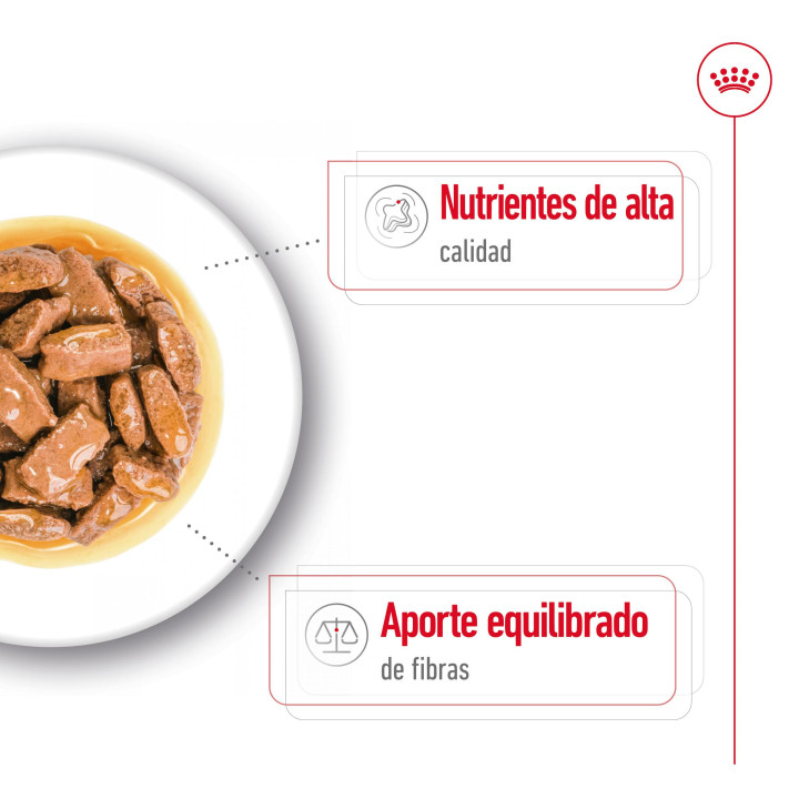 Royal Canin Maxi Adult comida húmeda para perro adulto de razas tamaño grande