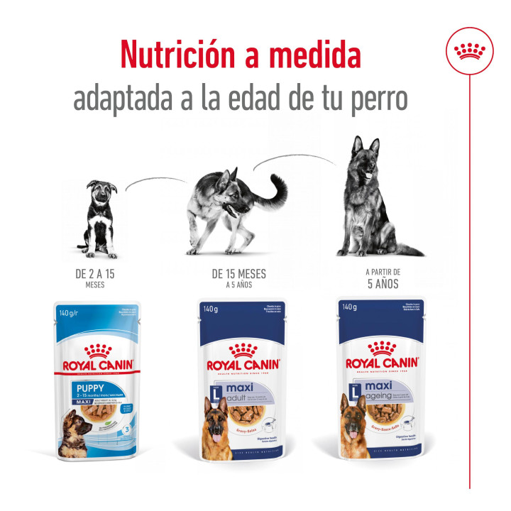 Royal Canin Maxi Adult comida húmeda para perro adulto de razas tamaño grande