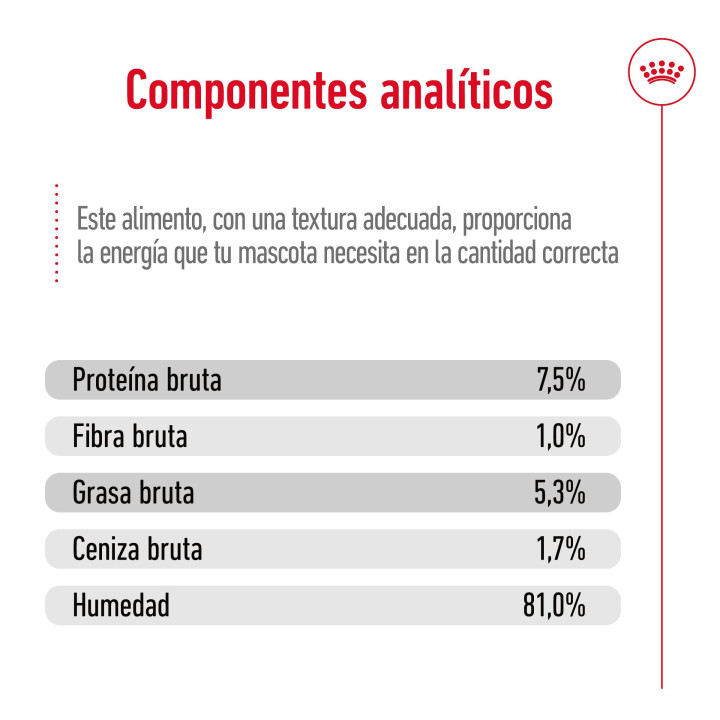 Royal Canin Maxi Adult comida húmeda para perro adulto de razas tamaño grande
