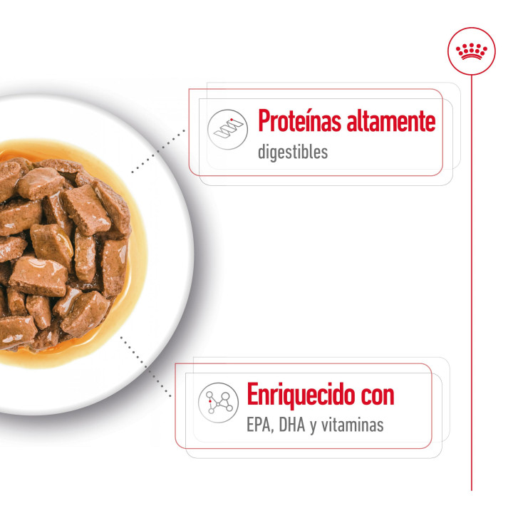 Royal Canin Maxi Ageing comida húmeda para perro en edad avanzada de razas tamaño grande