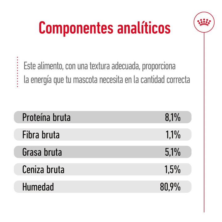 Royal Canin Maxi Ageing comida húmeda para perro en edad avanzada de razas tamaño grande