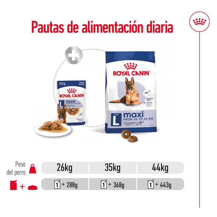 Royal Canin Maxi Ageing comida húmeda para perro en edad avanzada de razas tamaño grande