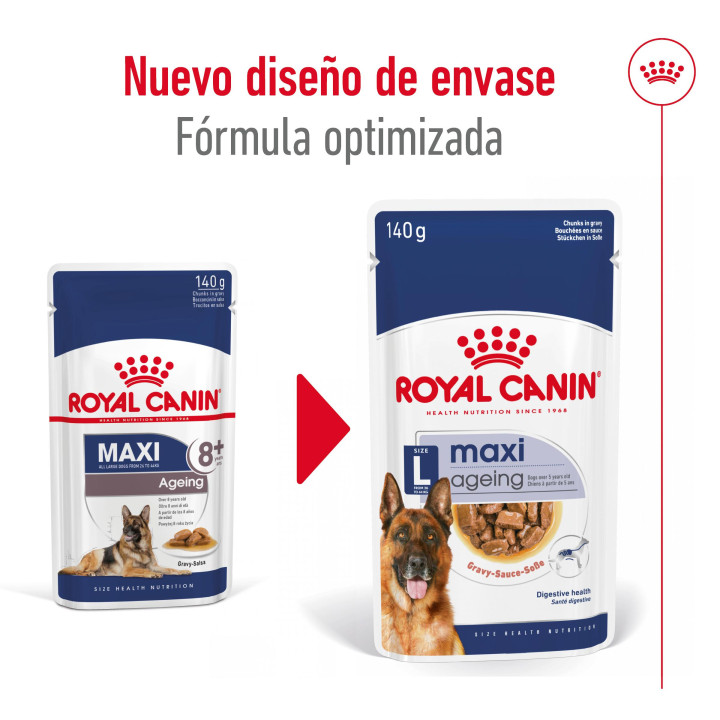 Royal Canin Maxi Ageing comida húmeda para perro en edad avanzada de razas tamaño grande
