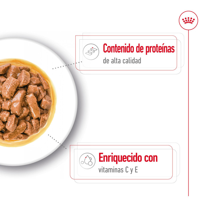 Royal Canin Medium Adult comida húmeda para perro adulto de razas tamaño mediano