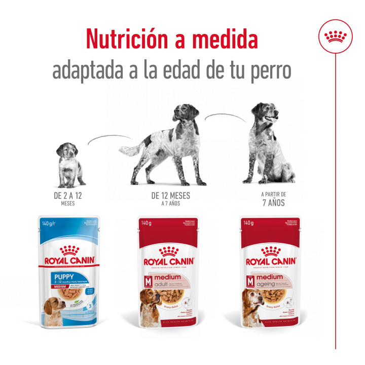 Royal Canin Medium Adult comida húmeda para perro adulto de razas tamaño mediano