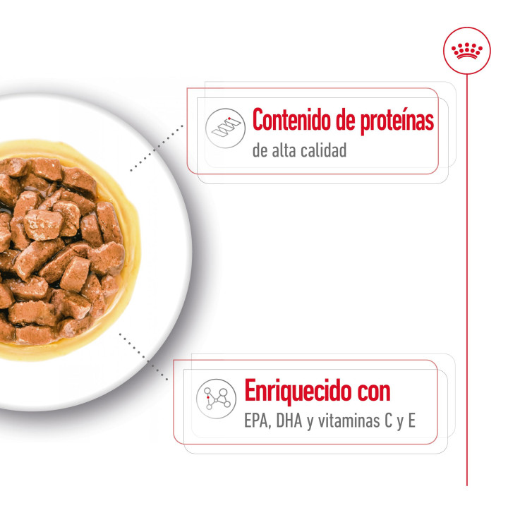 Royal Canin Medium Ageing comida húmeda para perro en edad avanzada de razas tamaño mediano