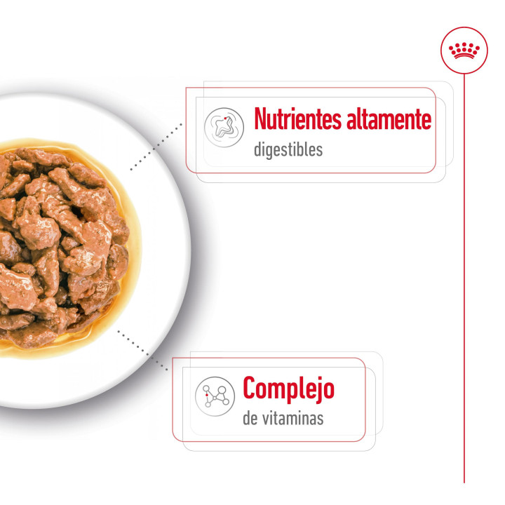Royal Canin Mini Adult comida húmeda para perro adulto de razas tamaño pequeño