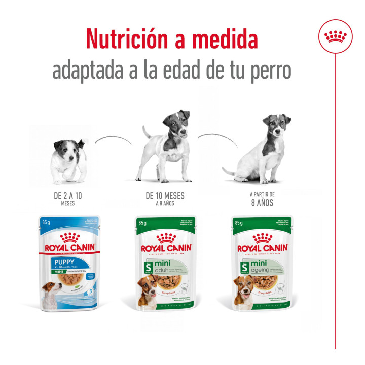 Royal Canin Mini Adult comida húmeda para perro adulto de razas tamaño pequeño