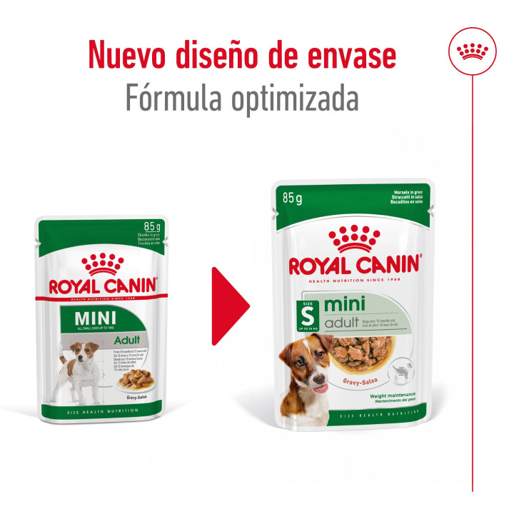 Royal Canin Mini Adult comida húmeda para perro adulto de razas tamaño pequeño