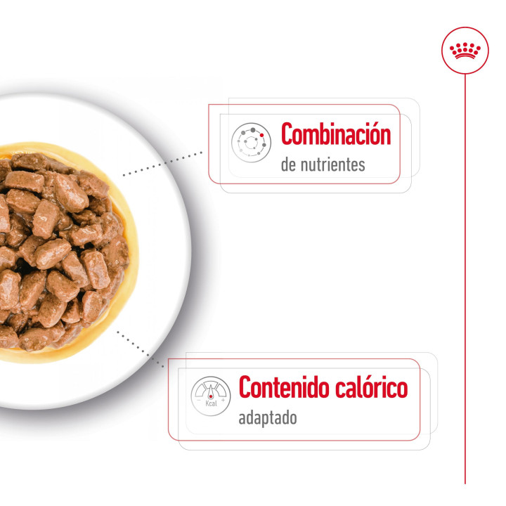 comida húmeda Royal Canin Health Nutrition Mini Ageing 12+ - Kompymascotas