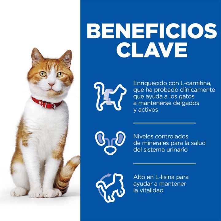 Hill's Science Plan Feline Young Adult Sterilized Cat, pienso para gatos - Kompymascotas