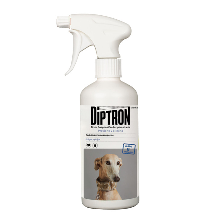 QM Suspensión antiparasitaria, antiparasitario externo para perro - Kompymascotas