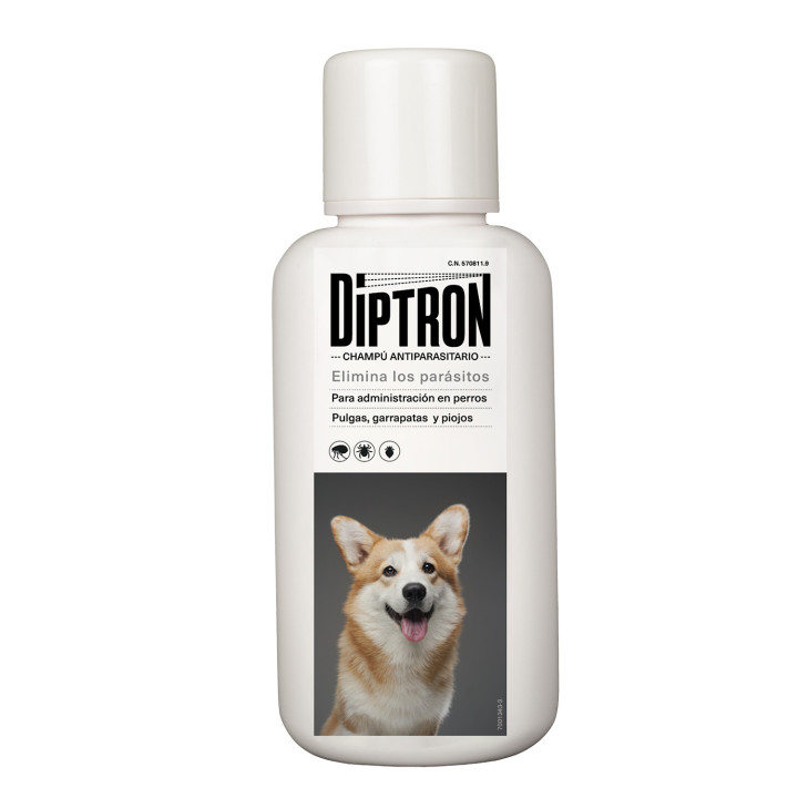 Diptron Champú antiparasitario para perros - Kompymascotas