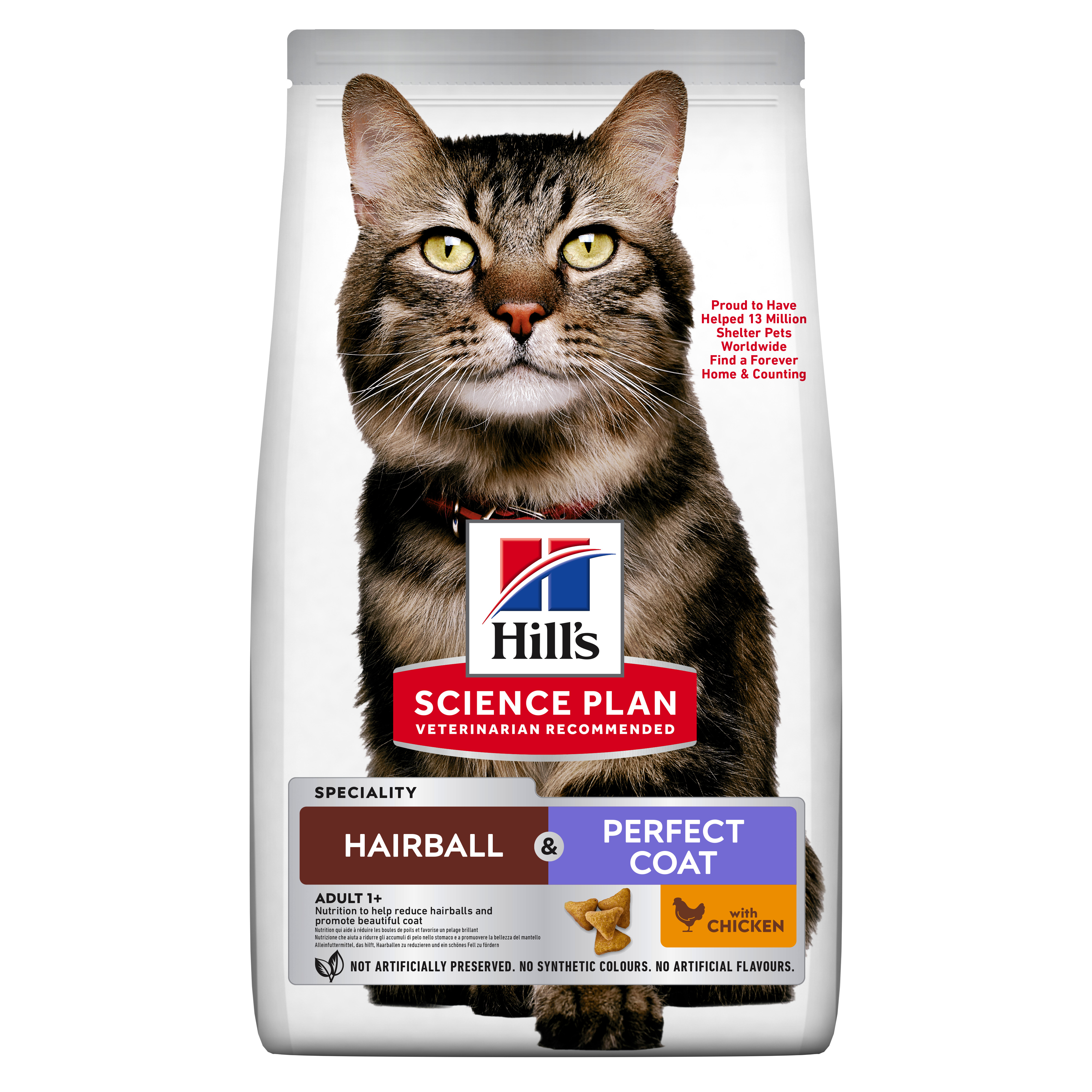 Pienso caída de pelo gatos
