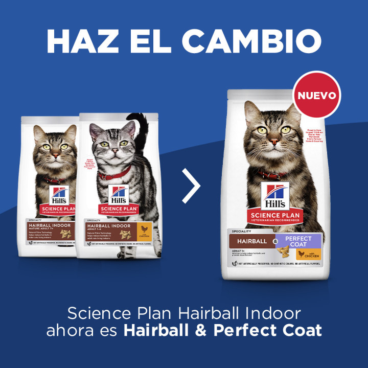 Hill's Science Plan Hairball & Perfect Coat alimento para gatos adultos con pollo 