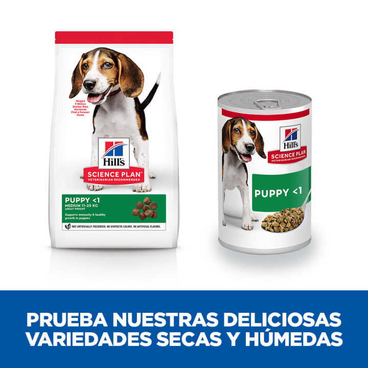Hill's Science Plan alimento húmedo para cachorros con vacuno