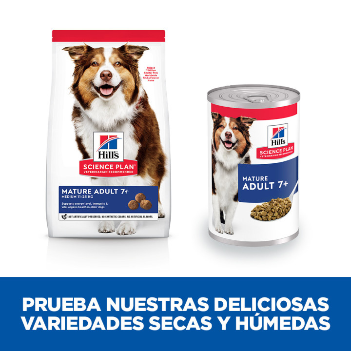 Hill's Science Plan alimento húmedo para perros mayores con vacuno