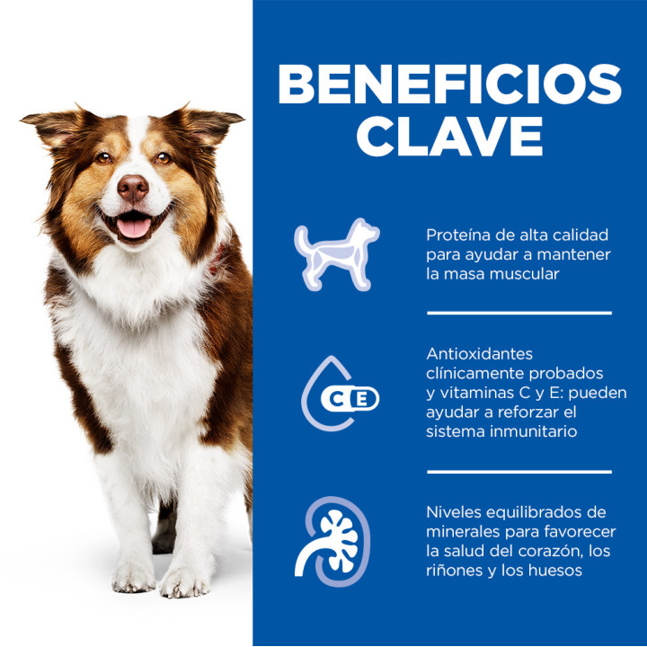 Hill's Science Plan alimento húmedo para perros mayores con vacuno