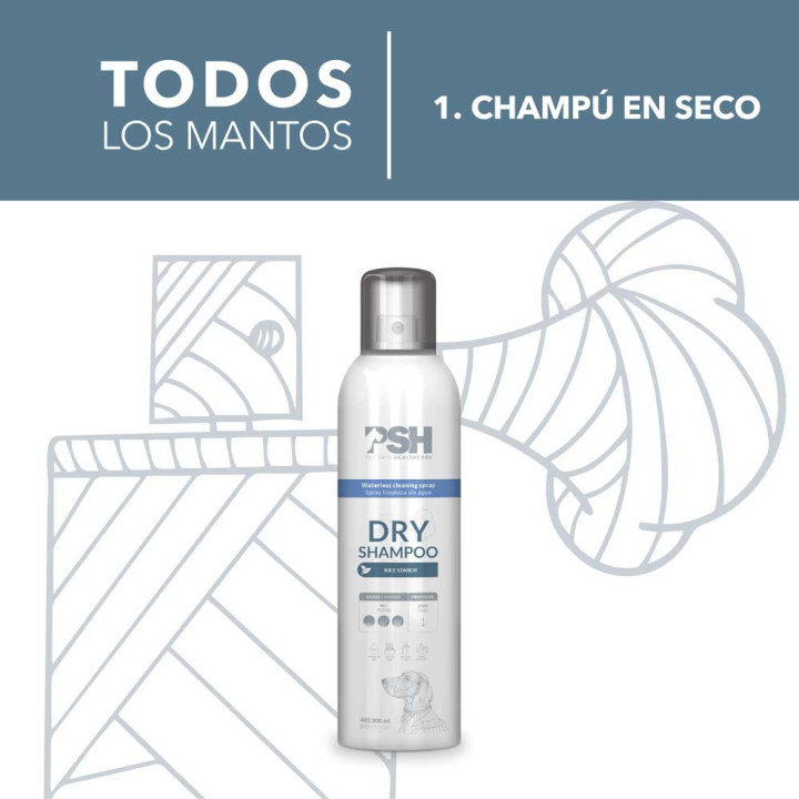 PSH Champú limpieza en seco