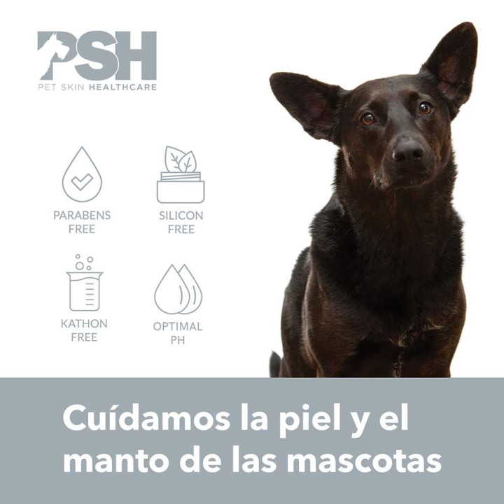 PSH Champú limpieza en seco