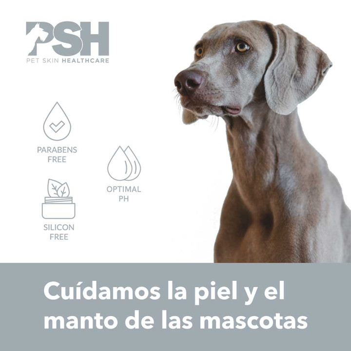 PSH Champú Pure Silver