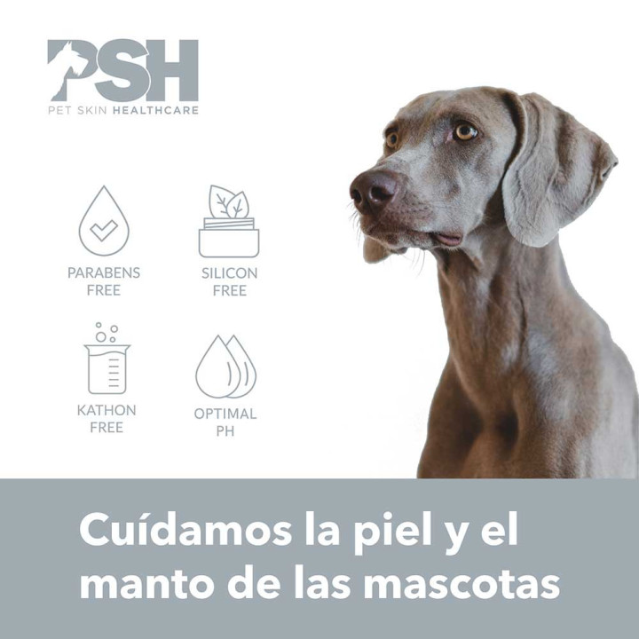 PSH Acondicionador Hypoallergenic Rithual