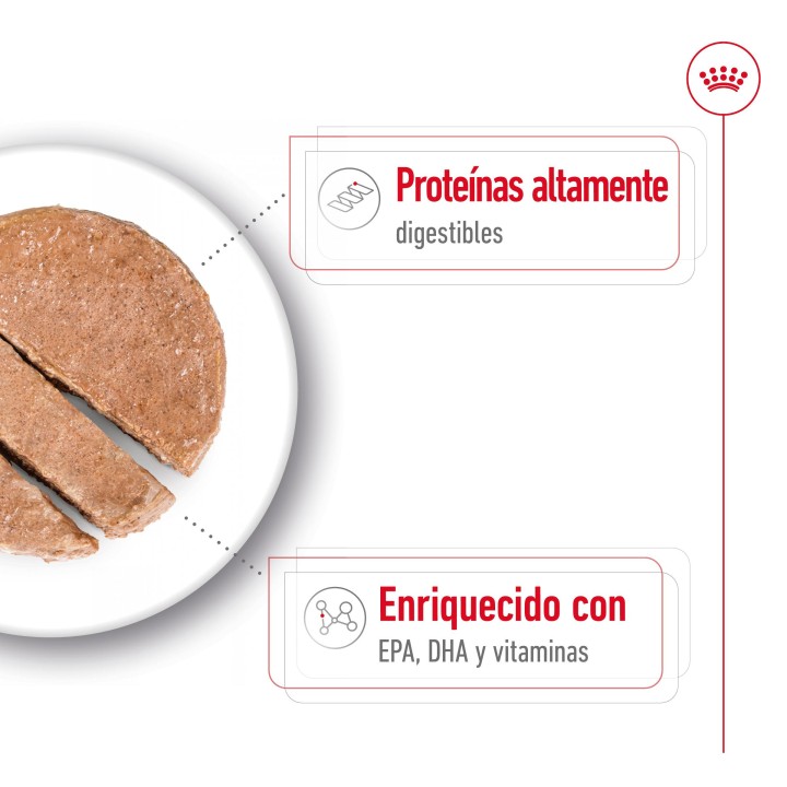 Royal Canin Maxi Ageing 5+ Alimento Húmedo para Perros en Paté 