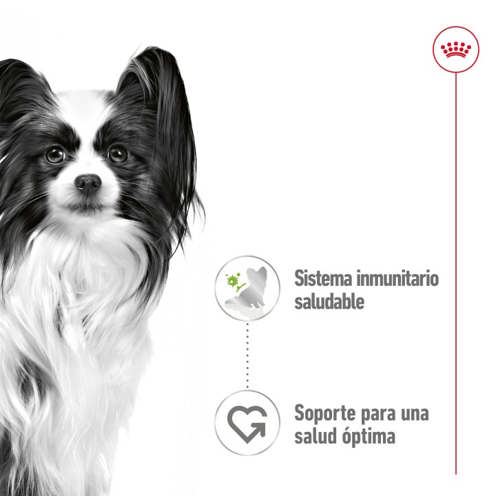 Royal Canin X-Small Adult Alimento Húmedo para Perros Pouch