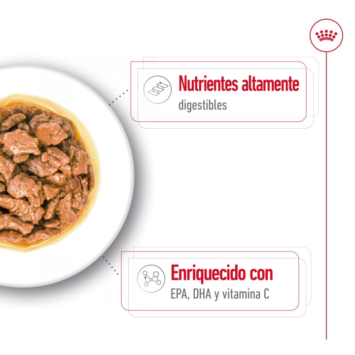 Royal Canin X-Small Adult Alimento Húmedo para Perros Pouch