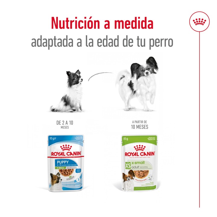 Royal Canin X-Small Adult Alimento Húmedo para Perros Pouch