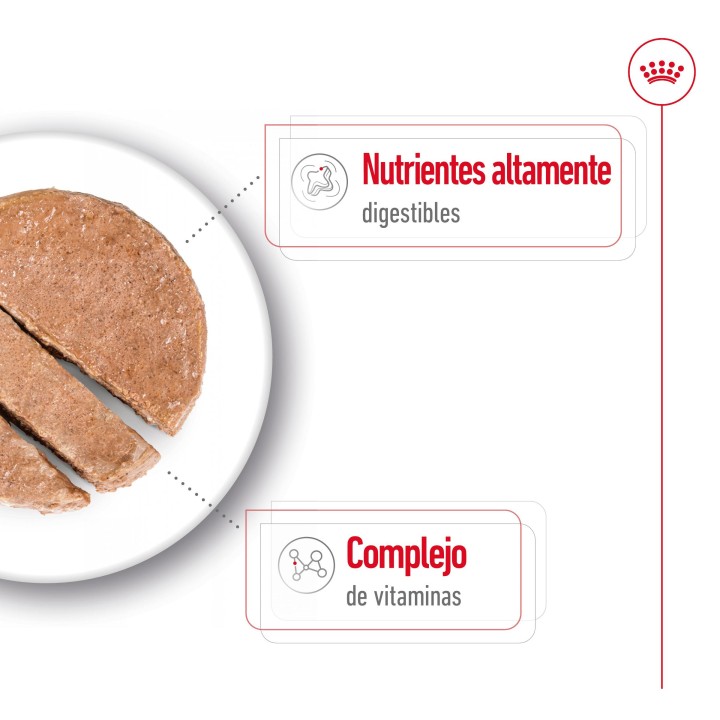Royal Canin Mini Adult Alimento Húmedo para Perros en Paté
