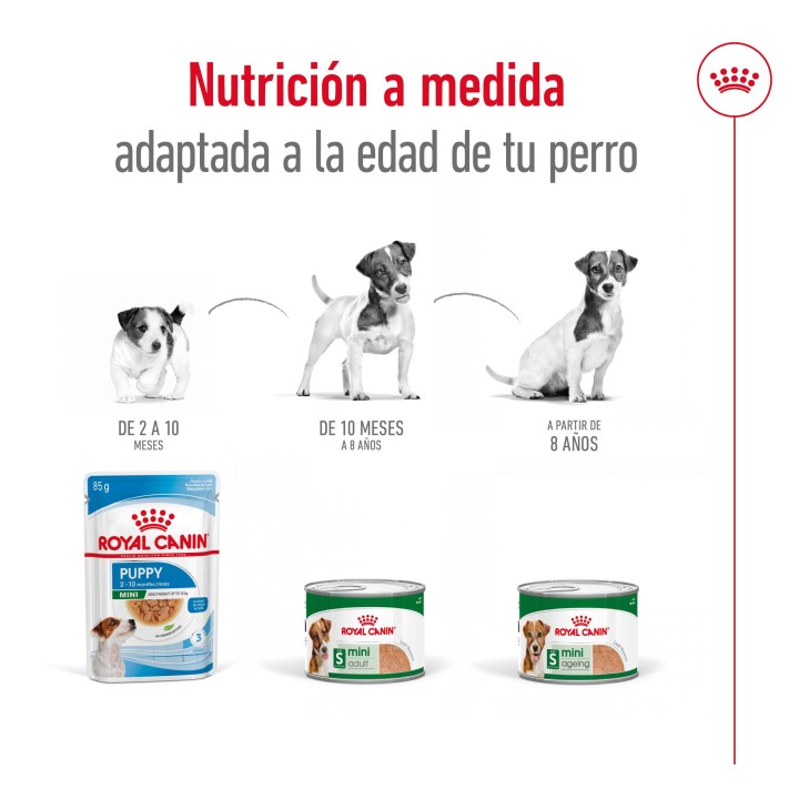 Royal Canin Mini Adult Alimento Húmedo para Perros en Paté