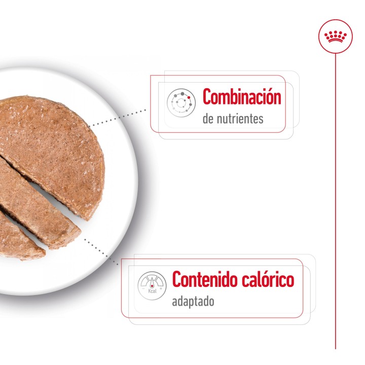 Royal Canin Mini Ageing Alimento Húmedo para Perros en Paté