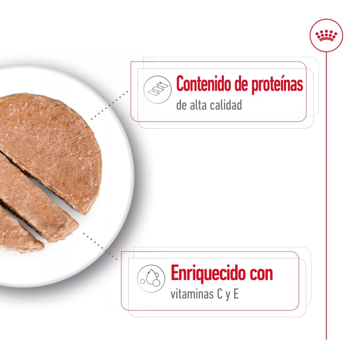Royal Canin Medium Adult  Alimento Húmedo para Perros en Paté 