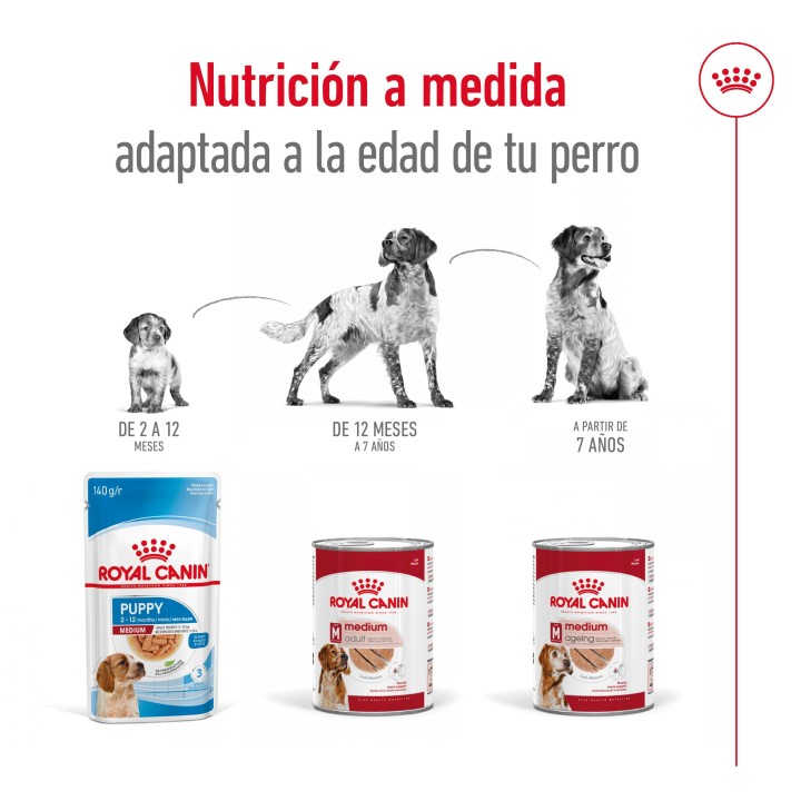 Royal Canin Medium Adult  Alimento Húmedo para Perros en Paté 
