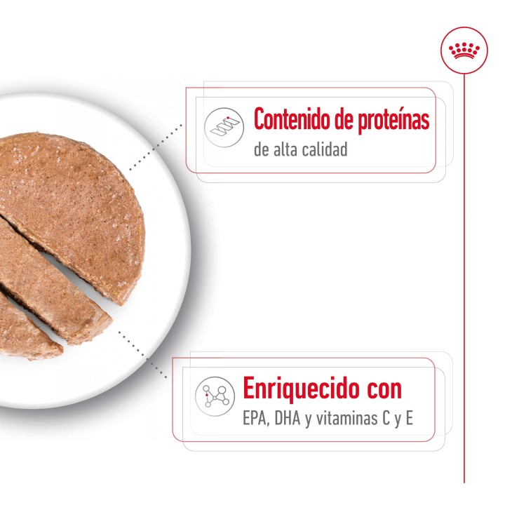 Royal Canin Medium Ageing 7+ Alimento Húmedo para Perros en Paté