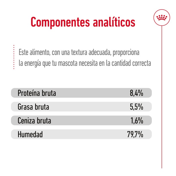 Royal Canin Medium Ageing 7+ Alimento Húmedo para Perros en Paté