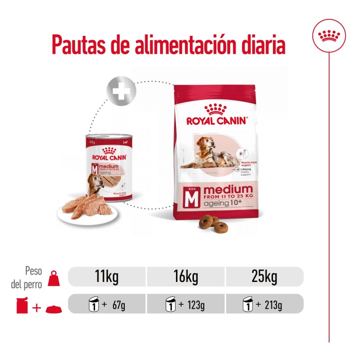 Royal Canin Medium Ageing 7+ Alimento Húmedo para Perros en Paté