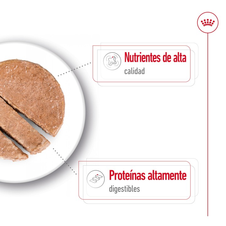 Royal Canin Maxi Adult Paté para perro adulto de razas tamaño grande (Lata)