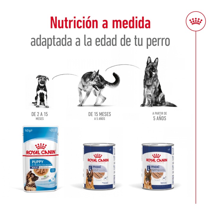 Royal Canin Maxi Adult Paté para perro adulto de razas tamaño grande (Lata)