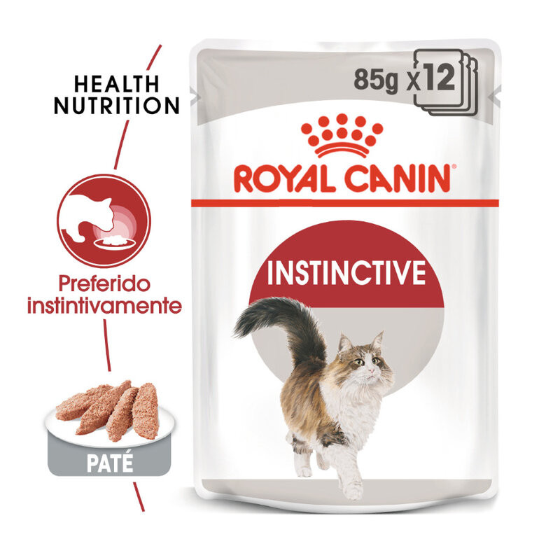 Royal canin health nutrition húmedo gato