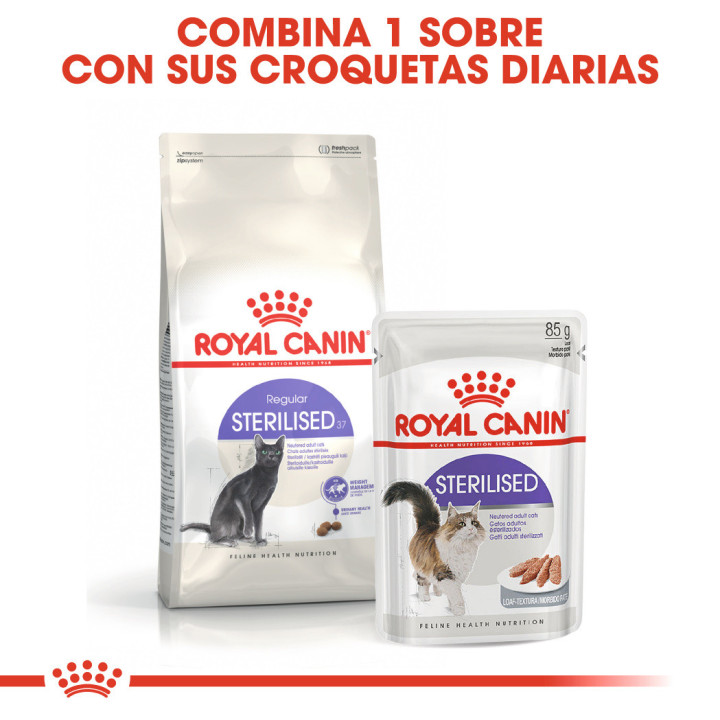 Royal Canin Feline Sterilised 37, Pienso para gatos - Kompymascotas
